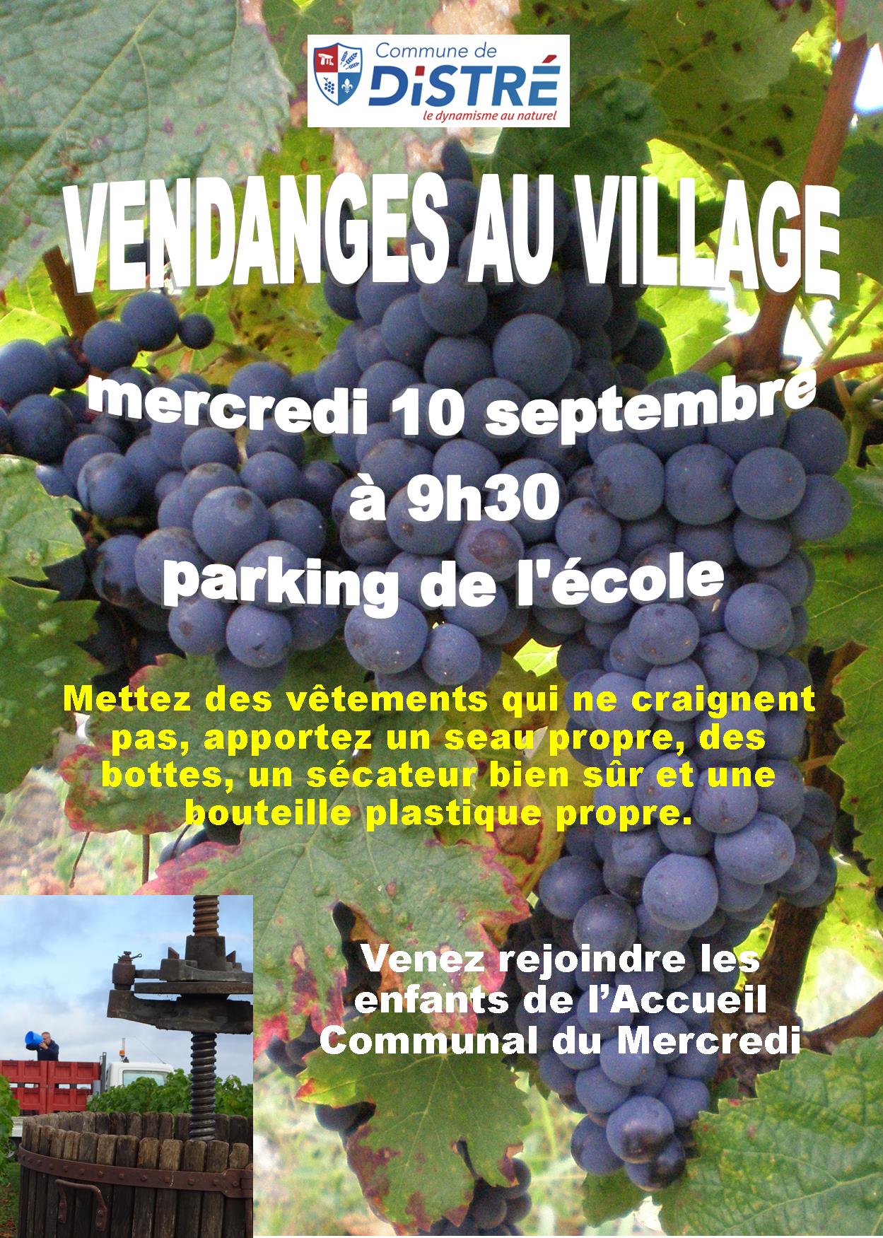 affiche vendanges 2025