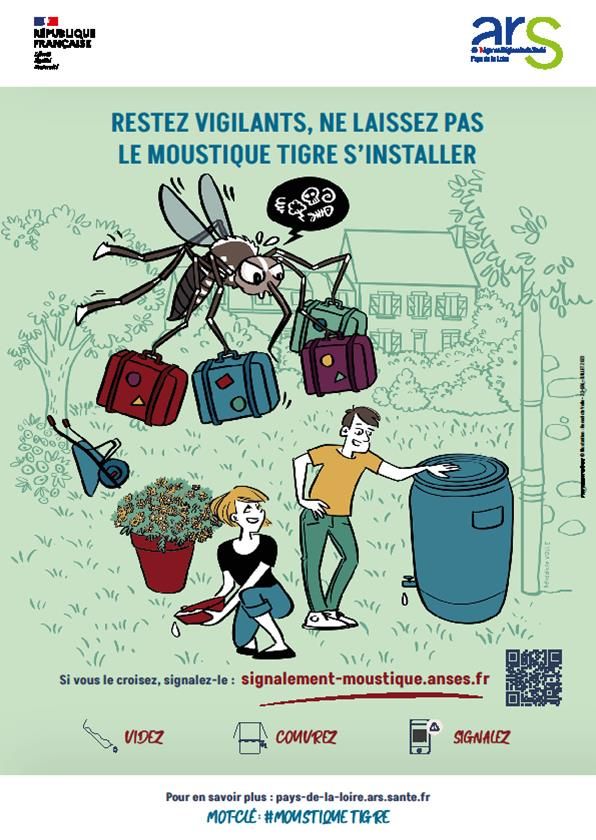 moustique tigre 2