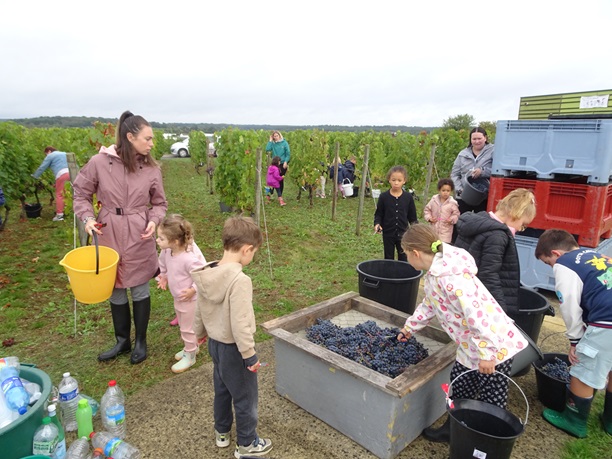 vendanges 25