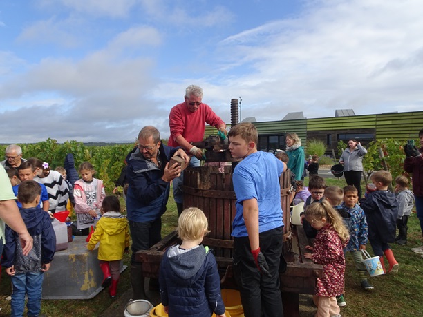 vendanges 25 4