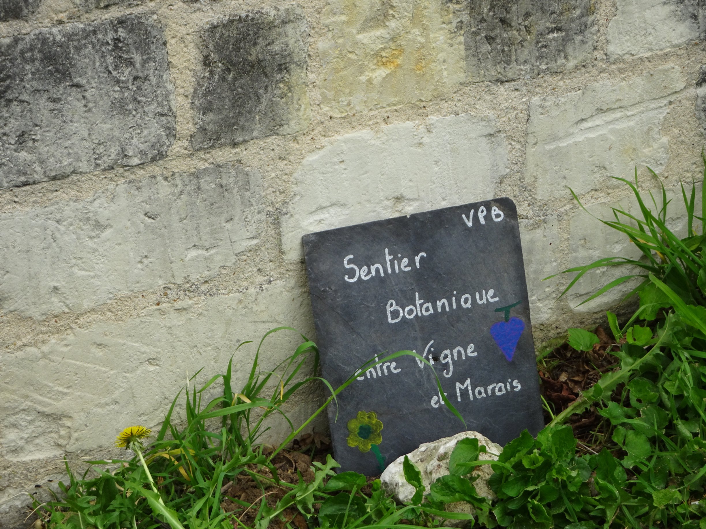 sentier avr 2017 29 b