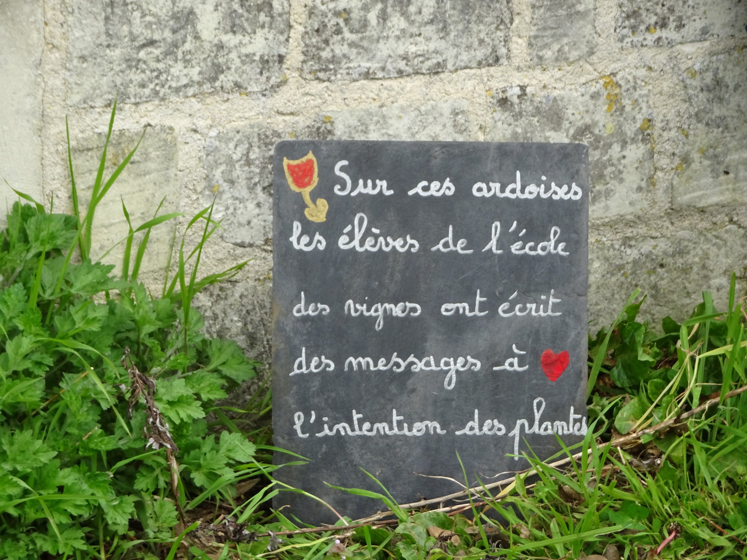 sentier avr 2017 34b