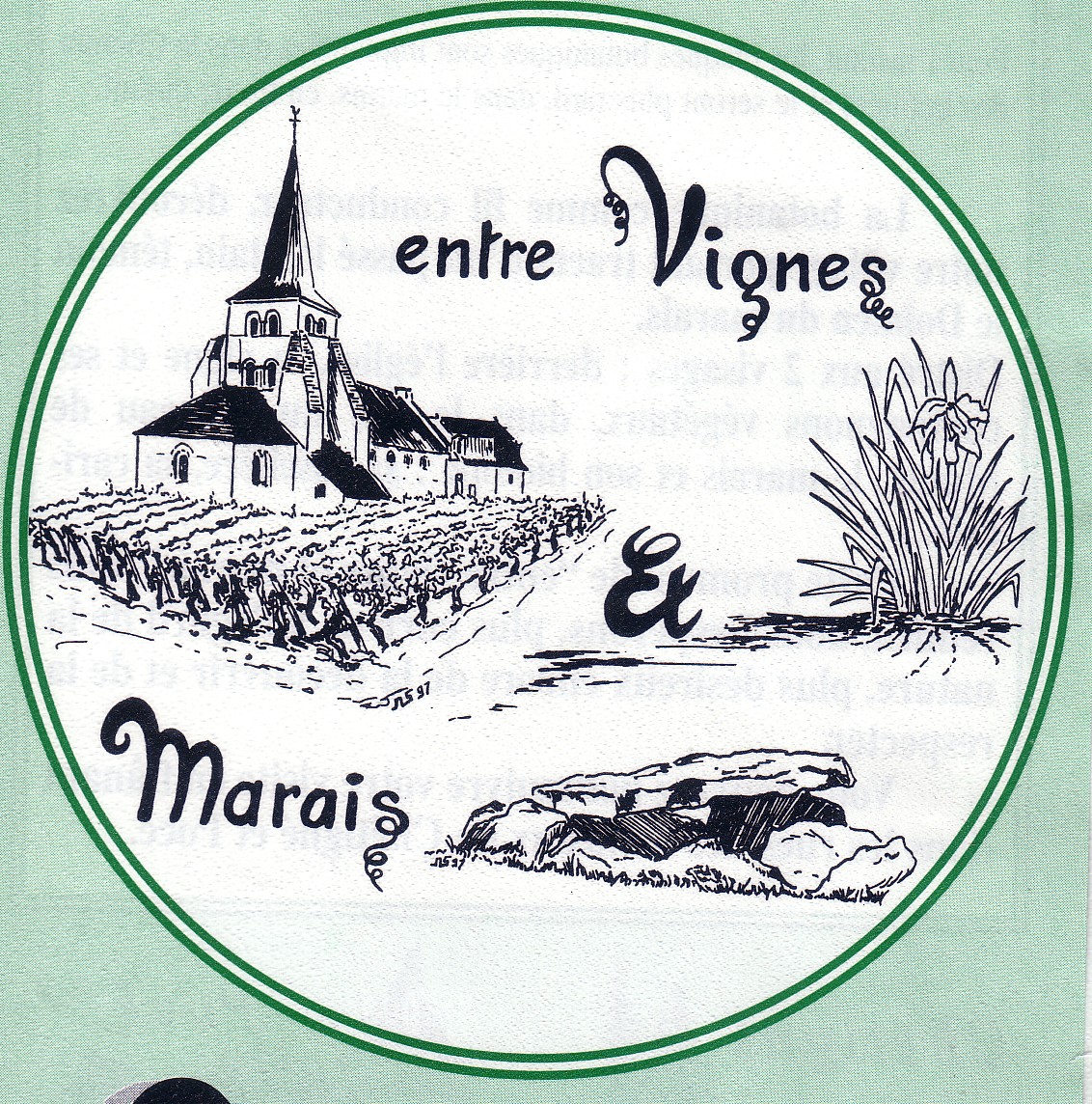 vignes et marais