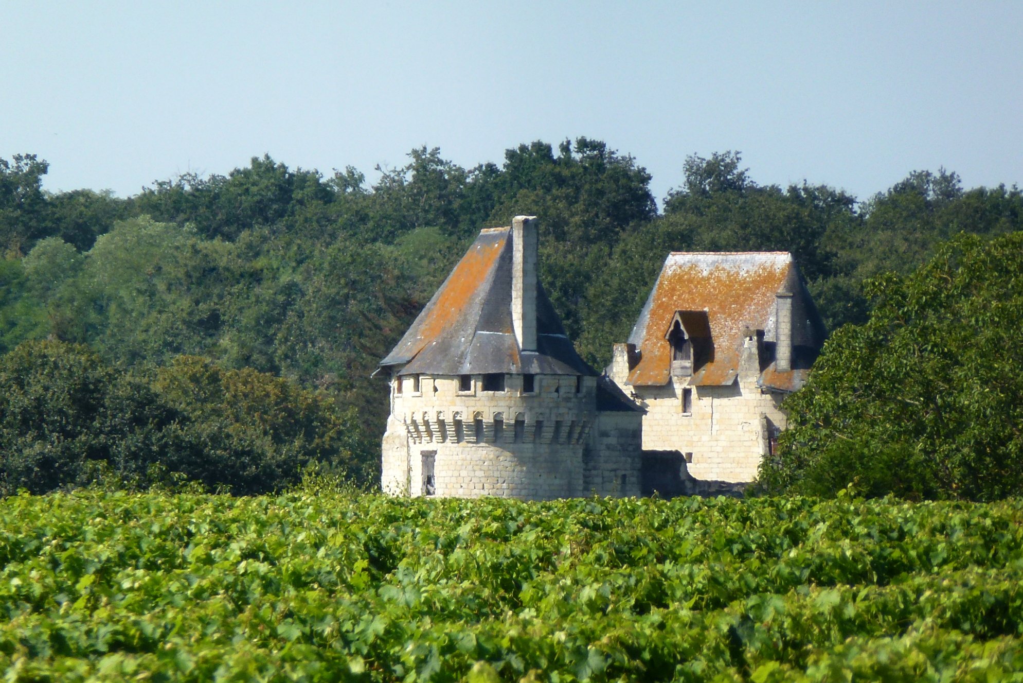 Château de Pocé