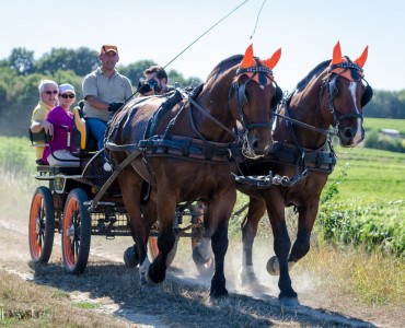 Festivités à Distré: EQUIVINI Festivités à Distré: EQUIVINI
